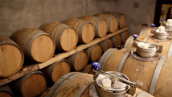 The making of Movia Lunar